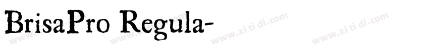BrisaPro Regula字体转换